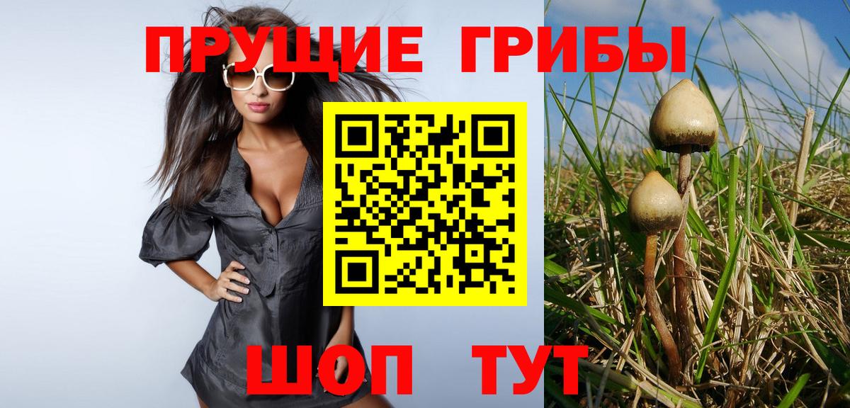 Галлюциногенные грибы Psilocybine cubensis  Псилоцибиновые грибы Magic Shrooms  Вход с VPN  Скопин 