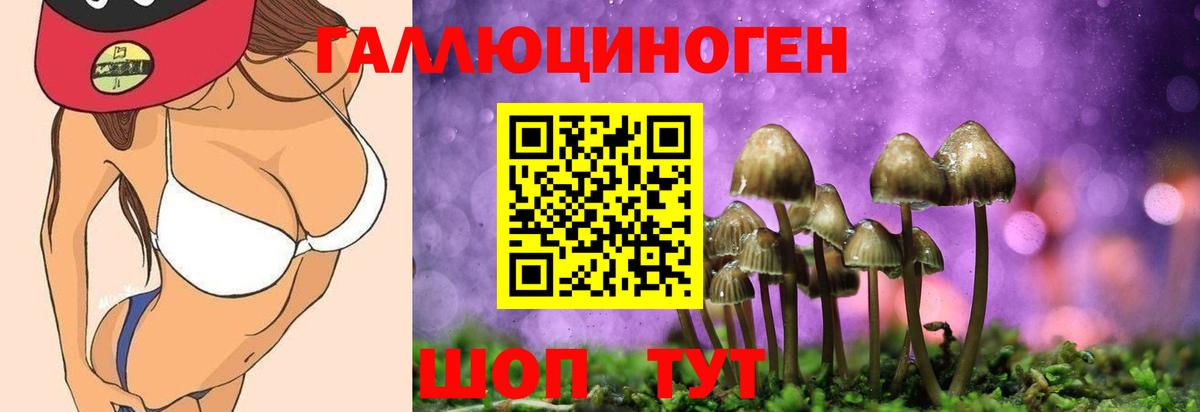 Альфа ПВП СК кристаллы  Скопин  ТГК  МЕТАМФЕТАМИН  ГАШ  Бошки Шишки  ГАШ  Меф кристаллы  МДМА  Вход с VPN 